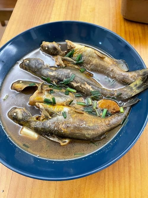 海刺魚圖片:**《海刺魚圖片》* 龍魚論壇 第23張 海刺魚圖片:**《海刺魚圖片》* 海刺魚圖片:**《海刺魚圖片》* 龍魚論壇 第23張