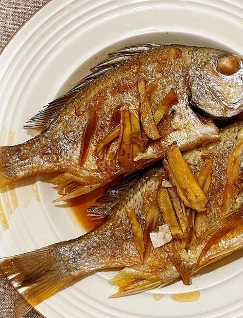 海刺魚圖片:**《海刺魚圖片》* 龍魚論壇 第20張 海刺魚圖片:**《海刺魚圖片》* 海刺魚圖片:**《海刺魚圖片》* 龍魚論壇 第20張