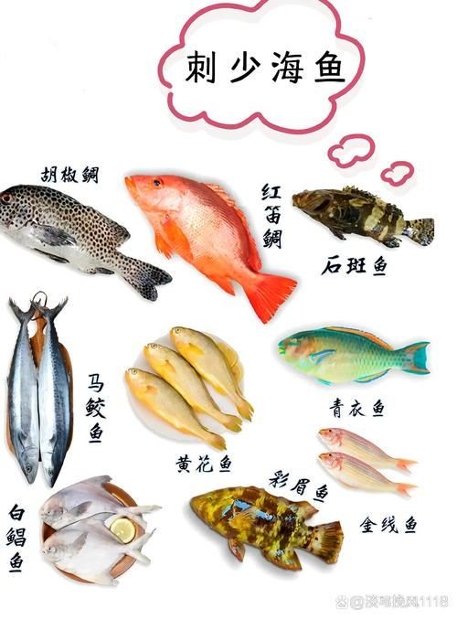 海刺魚圖片:**《海刺魚圖片》* 龍魚論壇 第18張 海刺魚圖片:**《海刺魚圖片》* 海刺魚圖片:**《海刺魚圖片》* 龍魚論壇 第18張