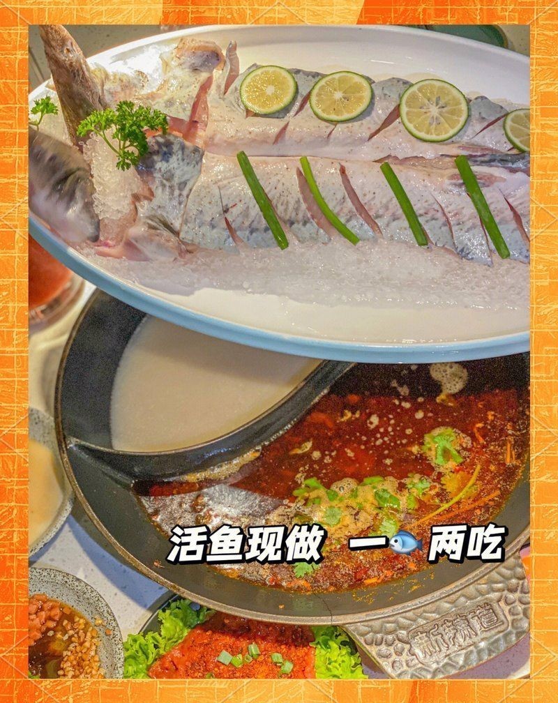 呼和浩特龍魚店：《呼和浩特龍魚店》