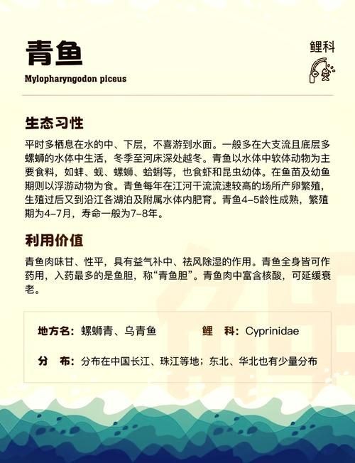 海里青魚(yú)圖片：海里青魚(yú)——海洋中的隱士 海里青魚(yú)圖片：海里青魚(yú)——海洋中的隱士 龍魚(yú)論壇 第20張