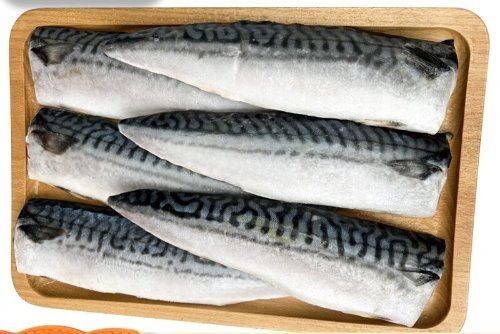 海里青魚(yú)圖片：海里青魚(yú)——海洋中的隱士 海里青魚(yú)圖片：海里青魚(yú)——海洋中的隱士 龍魚(yú)論壇 第32張