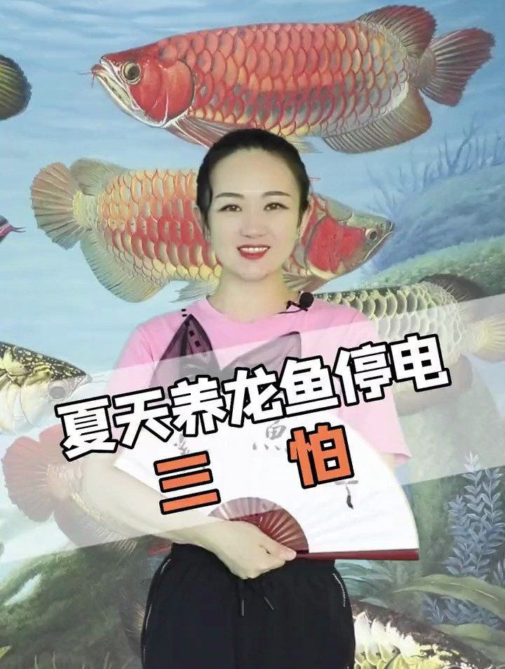 金頭龍魚最忌三種東西：金頭龍魚作為觀賞魚中的三大禁忌，金頭龍魚飼養需嚴格控制