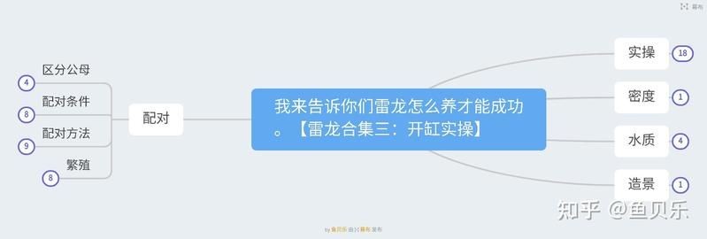 酒紅雷龍魚(yú)用什么底砂：酒紅雷龍魚(yú)養(yǎng)殖指南 酒紅雷龍魚(yú)用什么底砂：酒紅雷龍魚(yú)養(yǎng)殖指南 龍魚(yú)百科 第12張