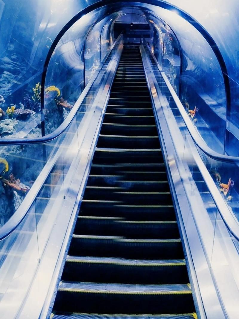 商丘水族店：商丘市睢陽區(qū)中州水族館怎么樣