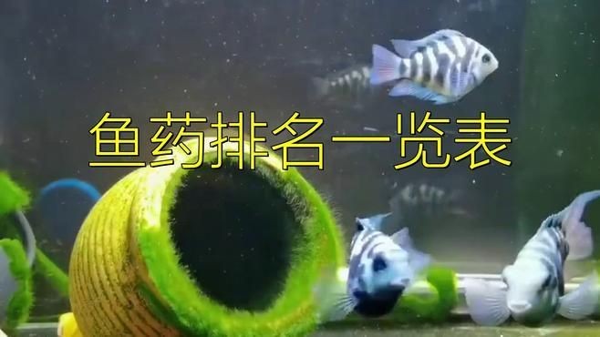 國產魚藥哪個牌子好：中國魚藥十大名牌及其特點分析：幕幕觀影水產藥品廠家排名前十