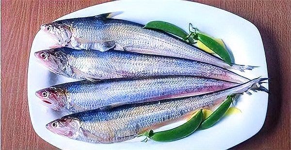 海魚魚刺最多的什么魚圖：海魚中魚刺最多的種類