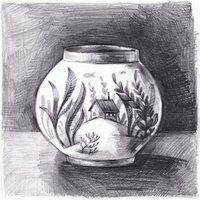 酒紅雷龍魚(yú)學(xué)名：酒紅雷龍是什么魚(yú)