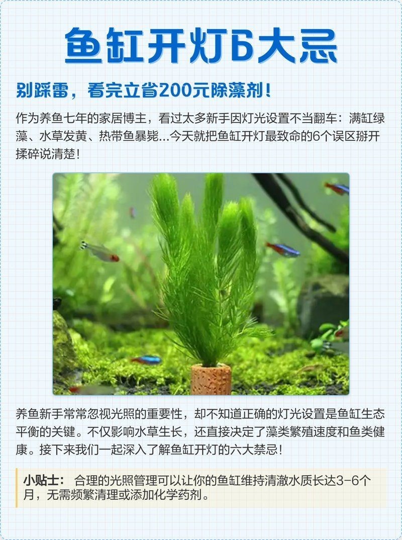 剛買的魟魚開燈嗎：新買的魟魚為什么不可以開燈