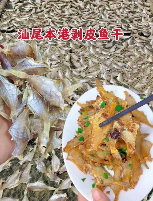 干皮魚圖片：干皮魚圖片展示