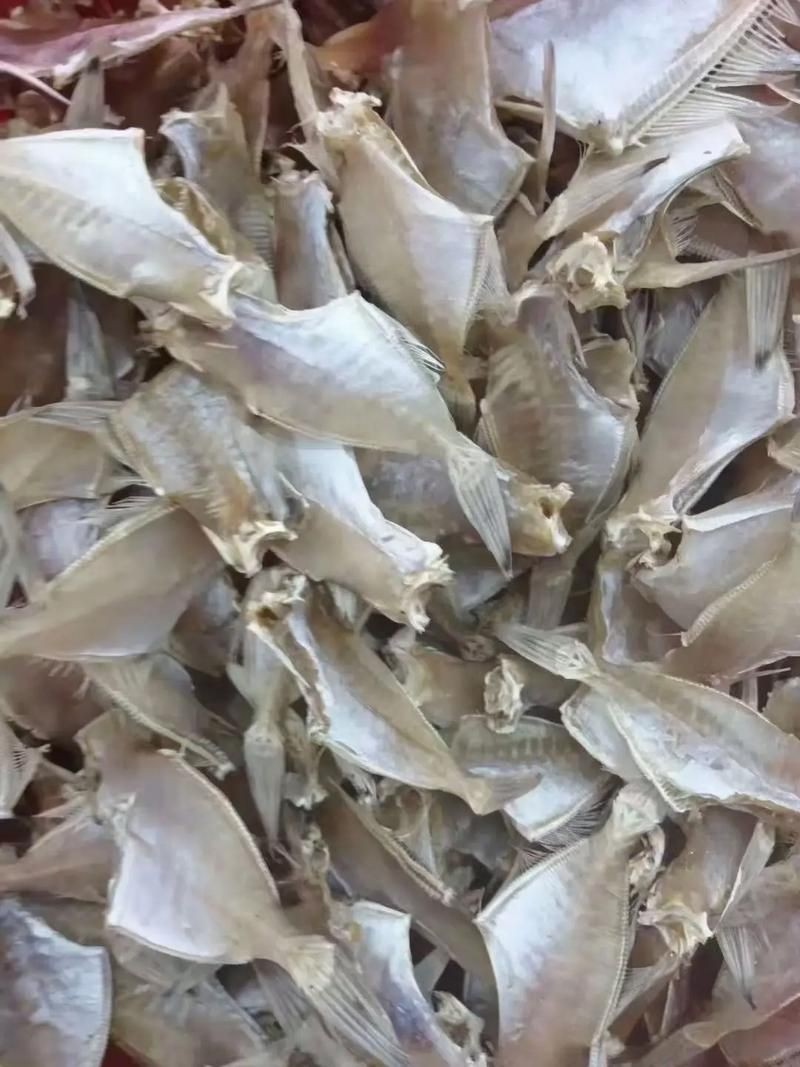 干皮魚圖片：干皮魚圖片展示