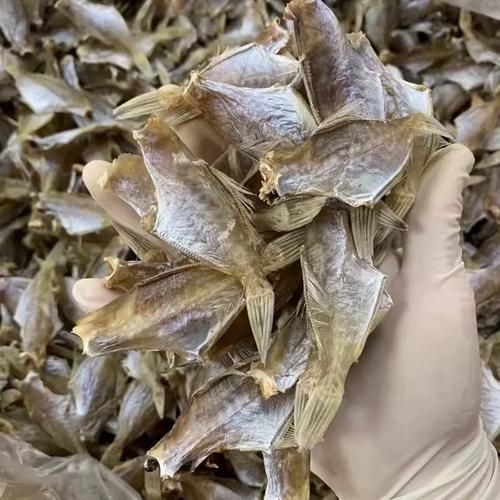 干皮魚圖片：干皮魚圖片展示