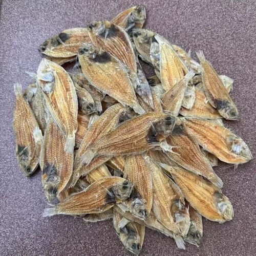 干皮魚圖片：干皮魚圖片展示