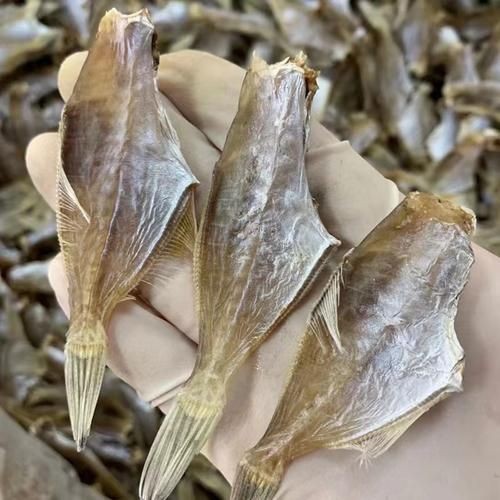 干皮魚圖片：干皮魚圖片展示