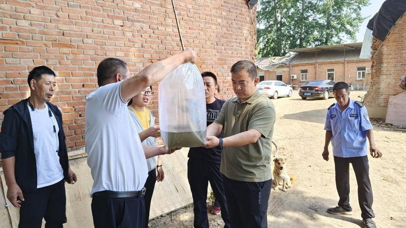 建鯉養一年有多大：建鯉一年能長多大