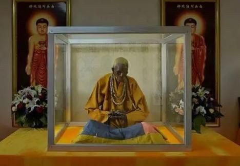 海和尚圖片：**《海和尚圖片》主題圖片
