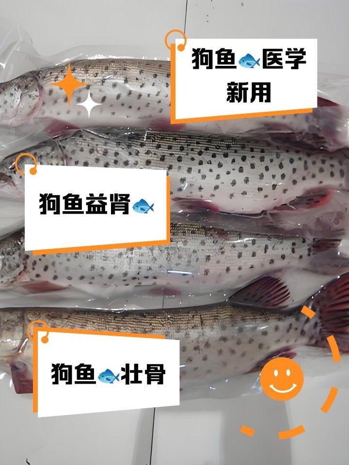 狗仔魚營養(yǎng)價值：**《狗仔魚營養(yǎng)價值》