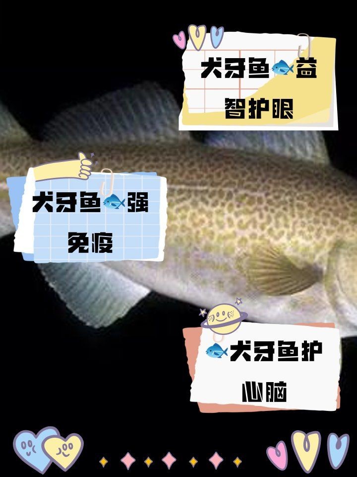 狗仔魚營養(yǎng)價值：**《狗仔魚營養(yǎng)價值》