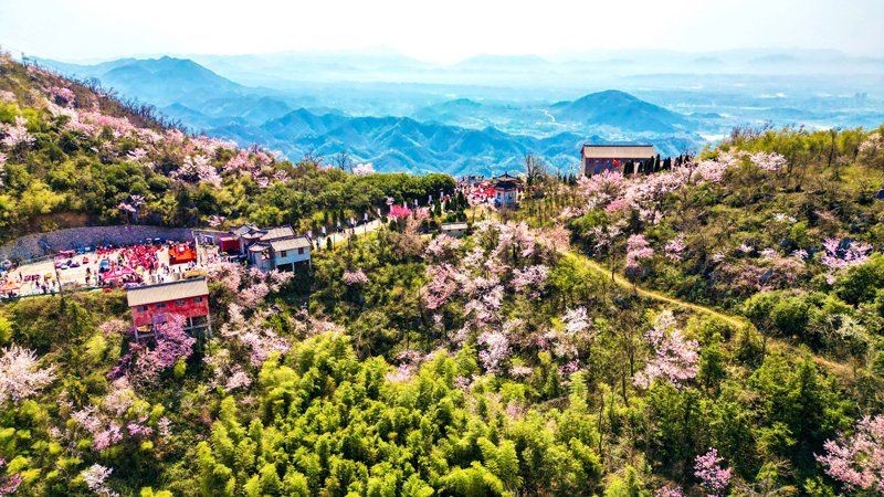 咸寧龍魚店：咸寧海鮮探店:新鮮美味與省錢攻略,穿梭黑洞的向日葵