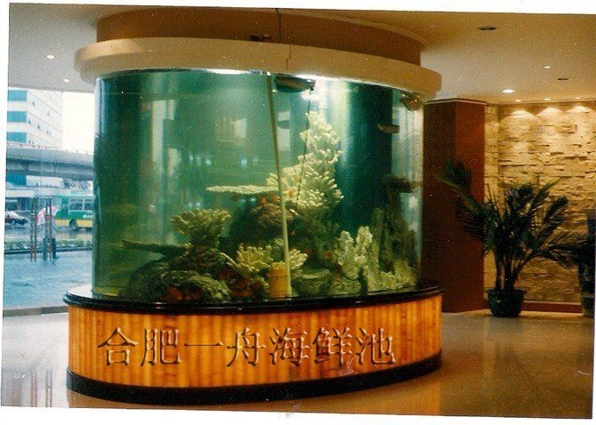 合肥魚缸定做：合肥魚缸定做服務(wù)