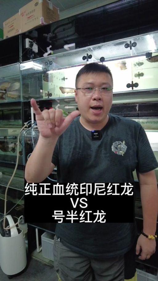 吉印水族是雜牌子還是名牌：吉印水族是“雜牌子”還是“名牌”？