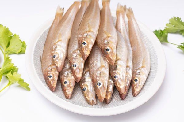 金絲魚的功效與作用:金絲魚的營養(yǎng)價值及功效與作用與作用 龍魚百科 第9張 金絲魚的功效與作用:金絲魚的營養(yǎng)價值及功效與作用與作用 金絲魚的功效與作用:金絲魚的營養(yǎng)價值及功效與作用與作用 龍魚百科 第9張