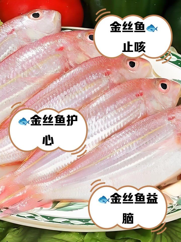 金絲魚的功效與作用:金絲魚的營養(yǎng)價值及功效與作用與作用 龍魚百科 第3張 金絲魚的功效與作用:金絲魚的營養(yǎng)價值及功效與作用與作用 金絲魚的功效與作用:金絲魚的營養(yǎng)價值及功效與作用與作用 龍魚百科 第3張