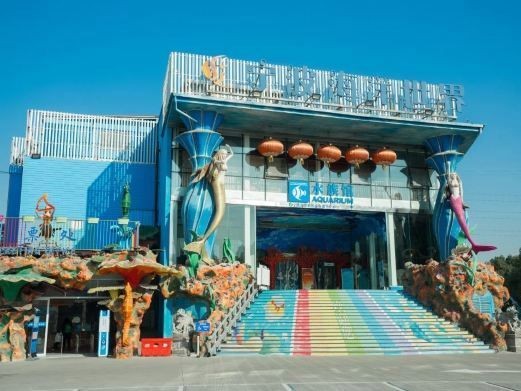 寧波水族館：寧波水族館游玩攻略