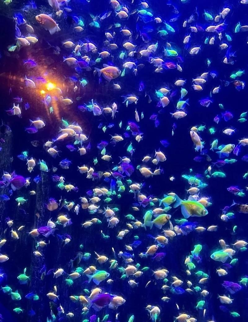 寧波水族館：寧波水族館游玩攻略