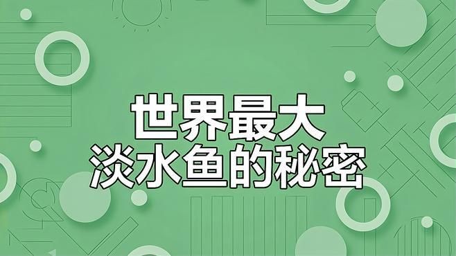海象魚品種大全一覽表：關于海象魚的知識