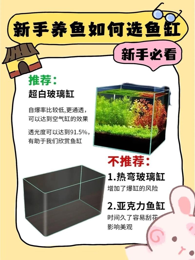家庭魚缸養(yǎng)魚品種圖片：家庭魚缸選對觀賞魚品種則是打造理想水景的關(guān)鍵