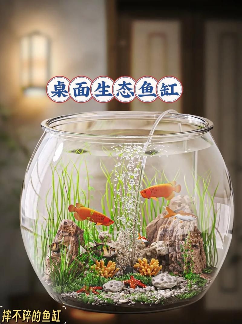 家庭魚缸養(yǎng)魚品種圖片：家庭魚缸選對觀賞魚品種則是打造理想水景的關(guān)鍵
