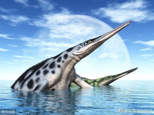 海底存在另一個世界嗎：海底是否存在另一個世界