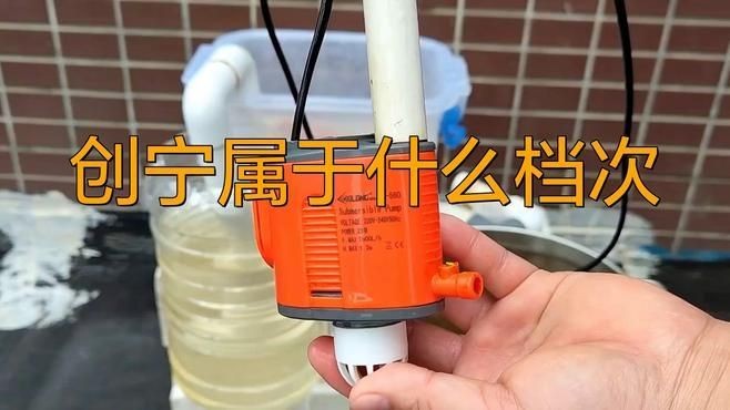 光特億和創寧一個檔次嗎：“光特億”與“創寧”是否處于同一檔次需結合多維度考量