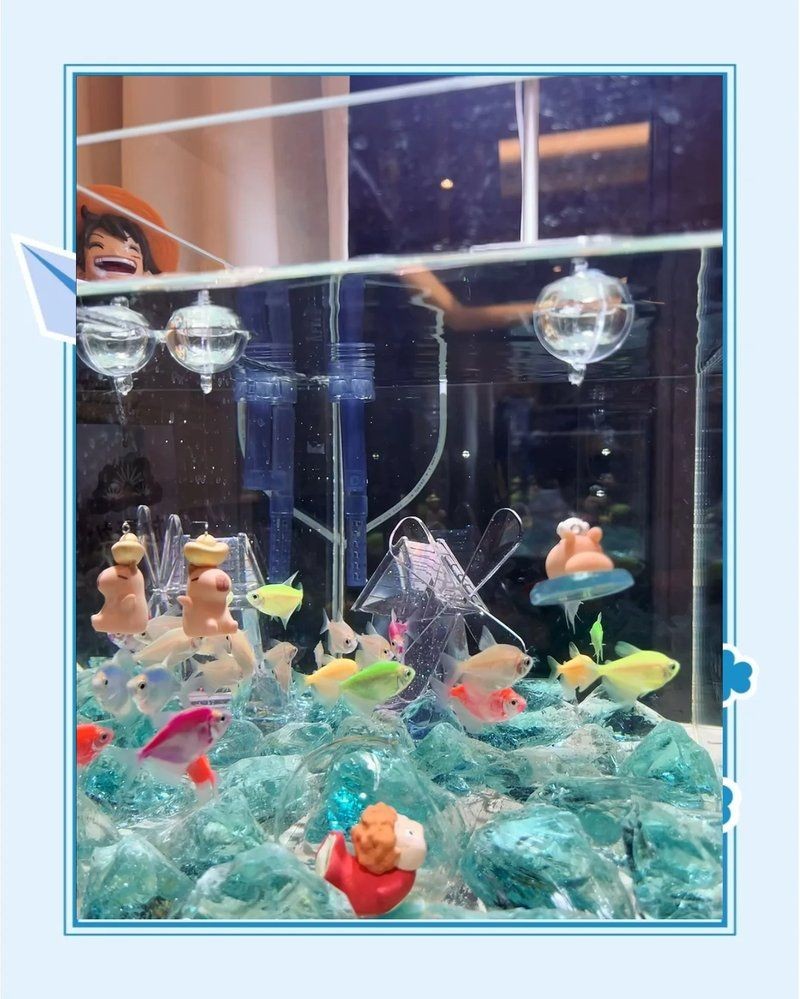 嘉興魚缸定做：嘉興魚缸定制服務(wù)