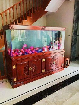 嘉興魚缸定做：嘉興魚缸定制服務(wù)