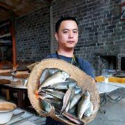 廣東人說的水鴨是啥意思：“水鴨”在廣東飲食文化中占有重要地位 廣東人說的水鴨是啥意思：“水鴨”在廣東飲食文化中占有重要地位 水鴨魚缸 第2張