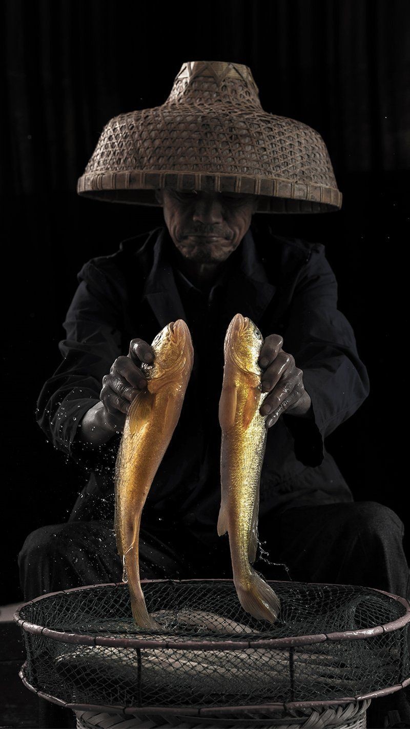 寧德龍魚(yú)店：寧德龍魚(yú)店年產(chǎn)量達(dá)2000噸龍魚(yú)繁育、銷(xiāo)售與養(yǎng)護(hù)的專(zhuān)業(yè)
