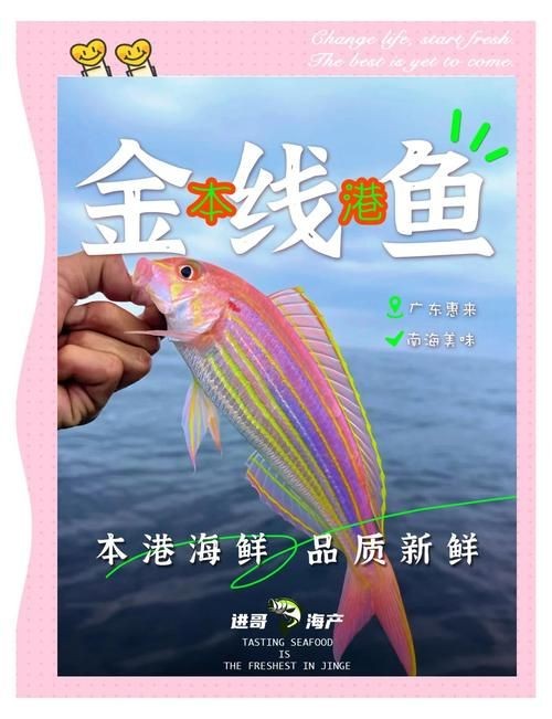 金雙線魚圖片：*《雙線魚圖片》金雙線魚能和什么魚混養有什么注意事項