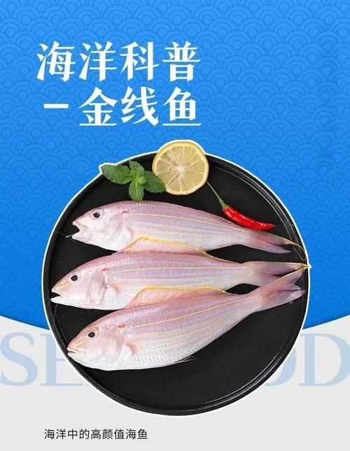金雙線魚圖片：*《雙線魚圖片》金雙線魚能和什么魚混養有什么注意事項