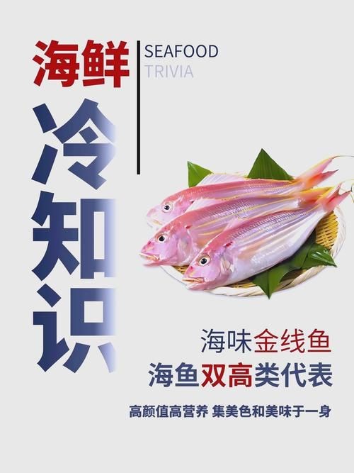 金雙線魚圖片：*《雙線魚圖片》金雙線魚能和什么魚混養有什么注意事項
