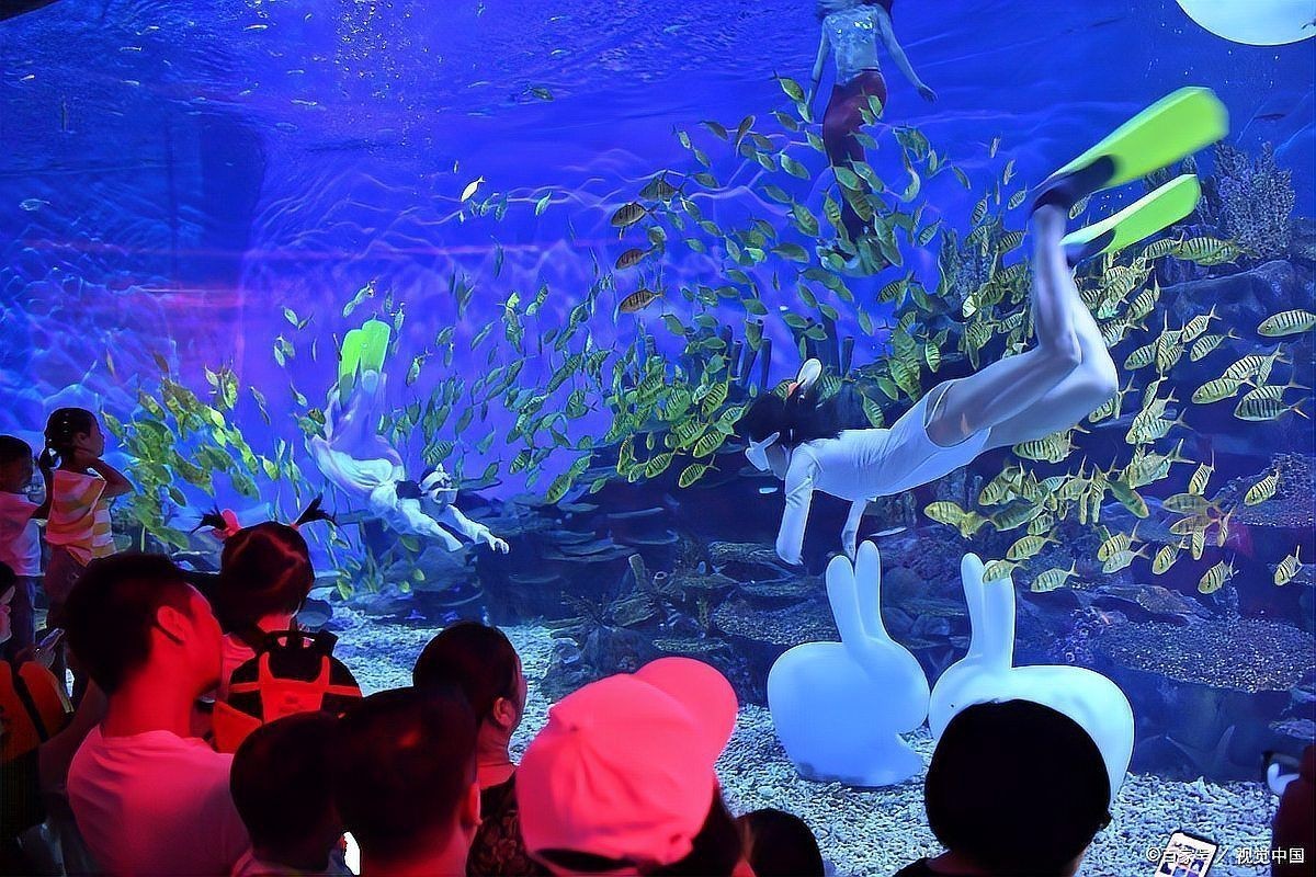 海洋世界門票多少錢：2025年國內主要海洋世界的門票價格及優惠政策