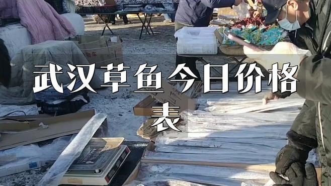 今日魚價(jià)最新價(jià)格：2018年8月14日魚價(jià)大揭秘 今日魚價(jià)最新價(jià)格：2018年8月14日魚價(jià)大揭秘 龍魚百科 第3張