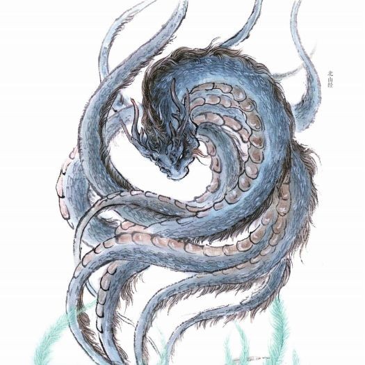 何羅魚vs赤如魚：“何羅魚”與“赤如魚”展開對比探討，二者均源自古代文獻記載