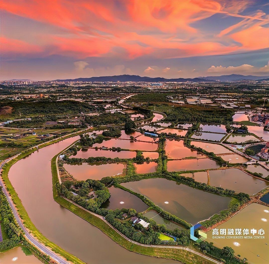 廣東水產養殖在哪里：廣東水產養殖在哪里終日無心理云鬢一圖速覽梅江區水產產業園 廣東水產養殖在哪里：廣東水產養殖在哪里終日無心理云鬢一圖速覽梅江區水產產業園 全國水族館企業名錄 第4張