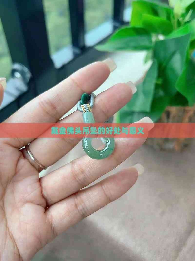 金頭是什么意思:“金頭”一詞具有多維度的含義 龍魚百科 第9張 金頭是什么意思:“金頭”一詞具有多維度的含義 金頭是什么意思:“金頭”一詞具有多維度的含義 龍魚百科 第9張