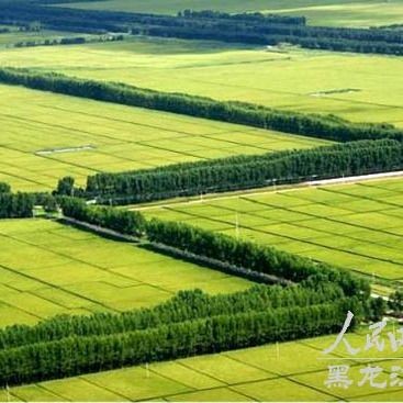 建三江15個農(nóng)場名單：建三江15個農(nóng)場發(fā)展紀(jì)實