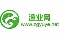 湖北魚苗批發：湖北魚苗產業現狀與發展前景調研報告