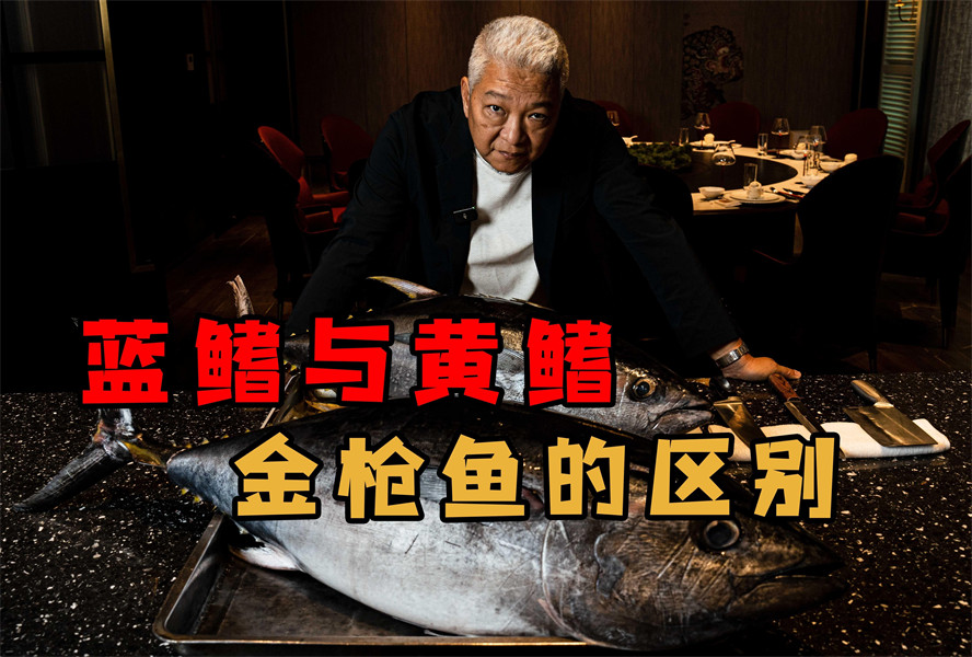 金槍魚藍鰭和黃鰭有啥區別：如何分辨藍鰭金槍魚和黃鰭金槍魚 金槍魚藍鰭和黃鰭有啥區別：如何分辨藍鰭金槍魚和黃鰭金槍魚 龍魚百科 第4張