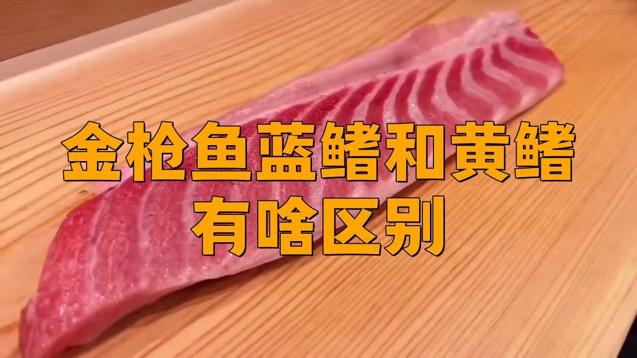 金槍魚藍鰭和黃鰭有啥區別：如何分辨藍鰭金槍魚和黃鰭金槍魚 金槍魚藍鰭和黃鰭有啥區別：如何分辨藍鰭金槍魚和黃鰭金槍魚 龍魚百科 第1張